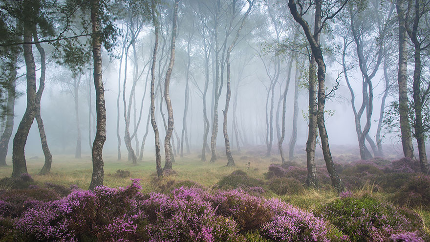 #12 Stanton Moor, Peak District, Uk