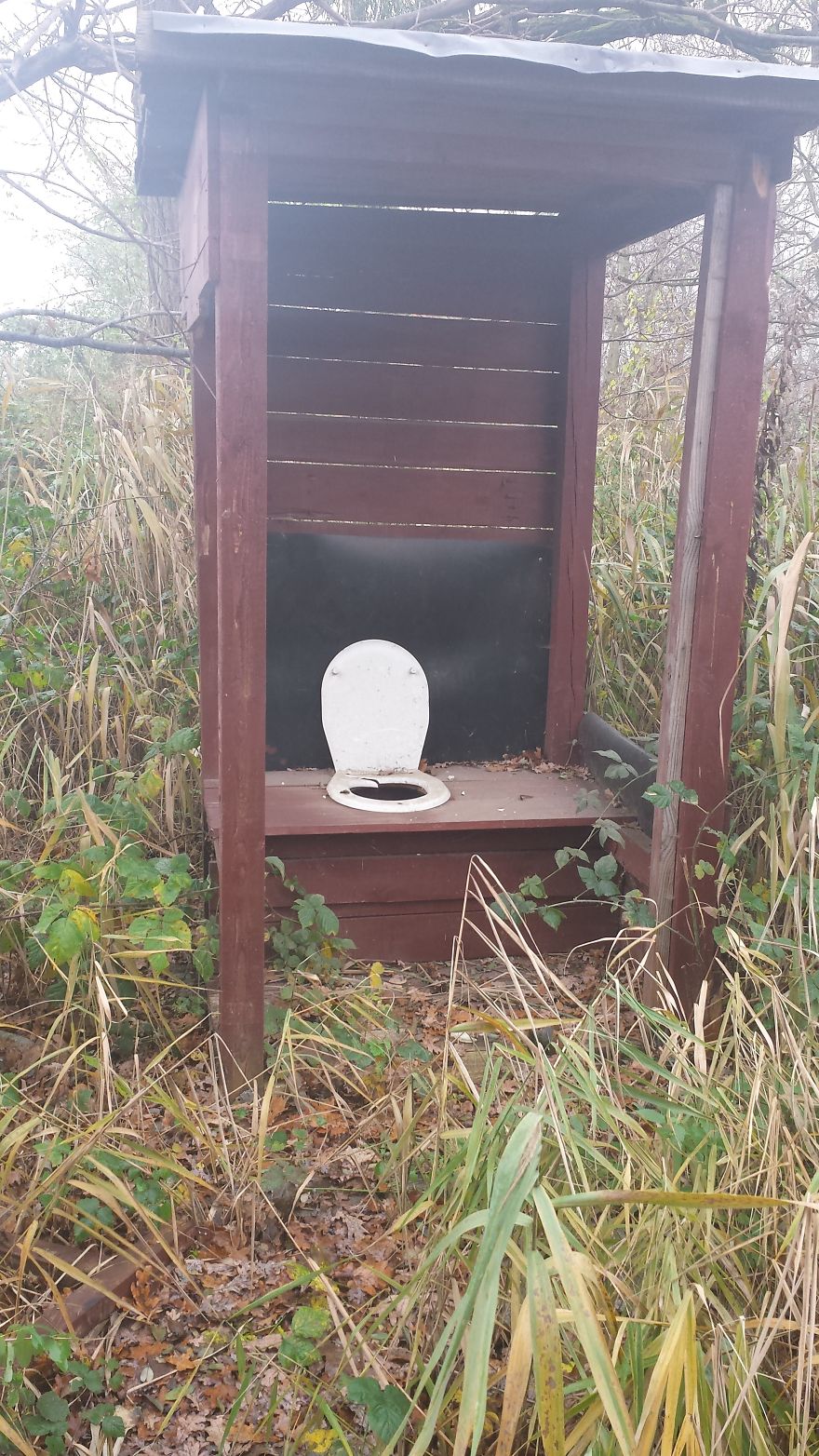 Indiana Jones Toaleta