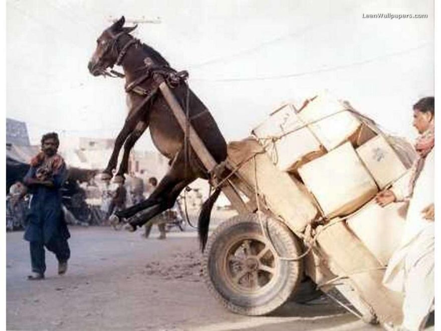 25 French Expressions They Don't Teach You At School 25 French Expressions They Don't Teach You At School