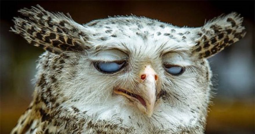 25 French Expressions They Don't Teach You At School