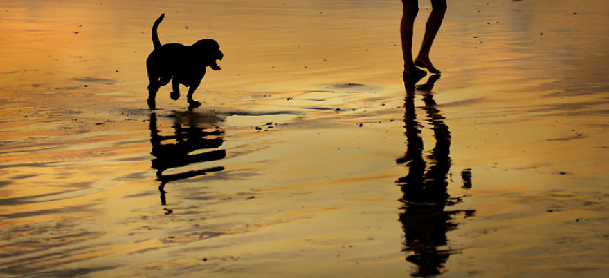 25 French Expressions They Don't Teach You At School