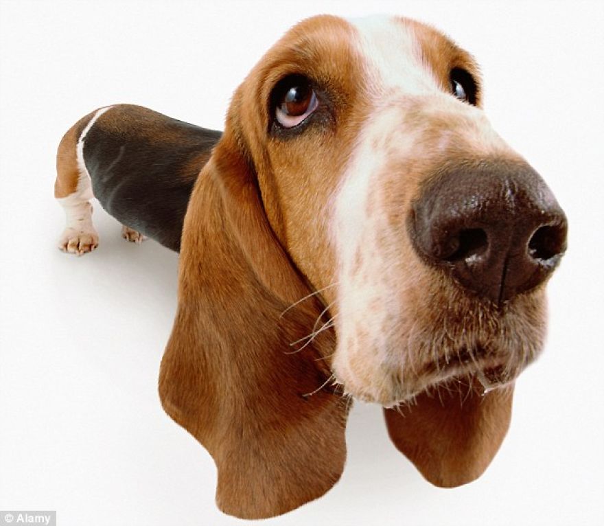 25 French Expressions They Don't Teach You At School