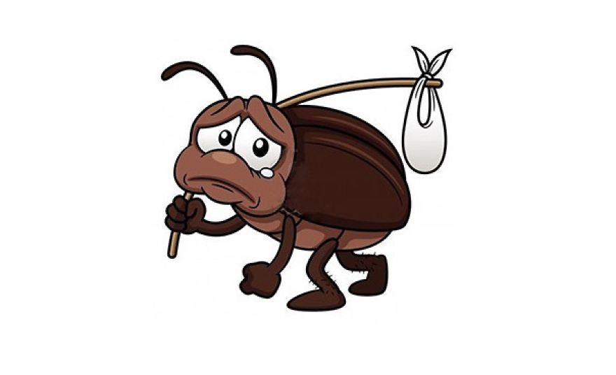 25 French Expressions They Don't Teach You At School