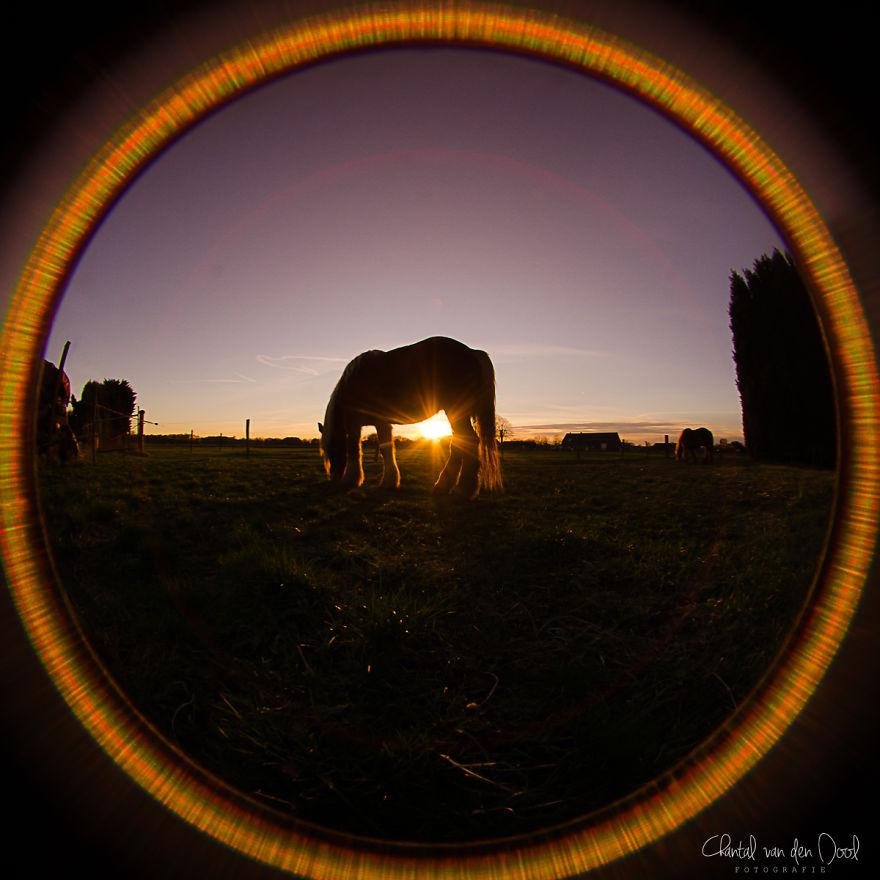 My Girl In The Sunset