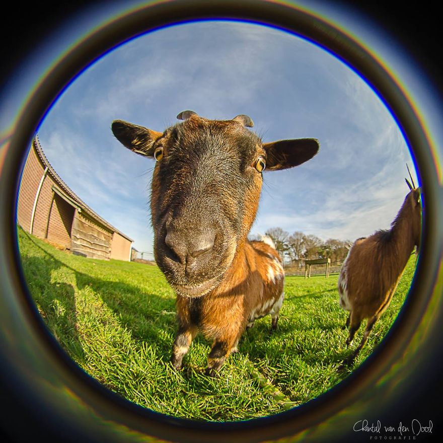 Fisheye Photography