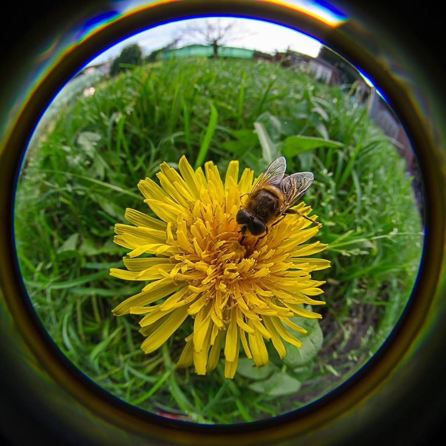 Fisheye Photography