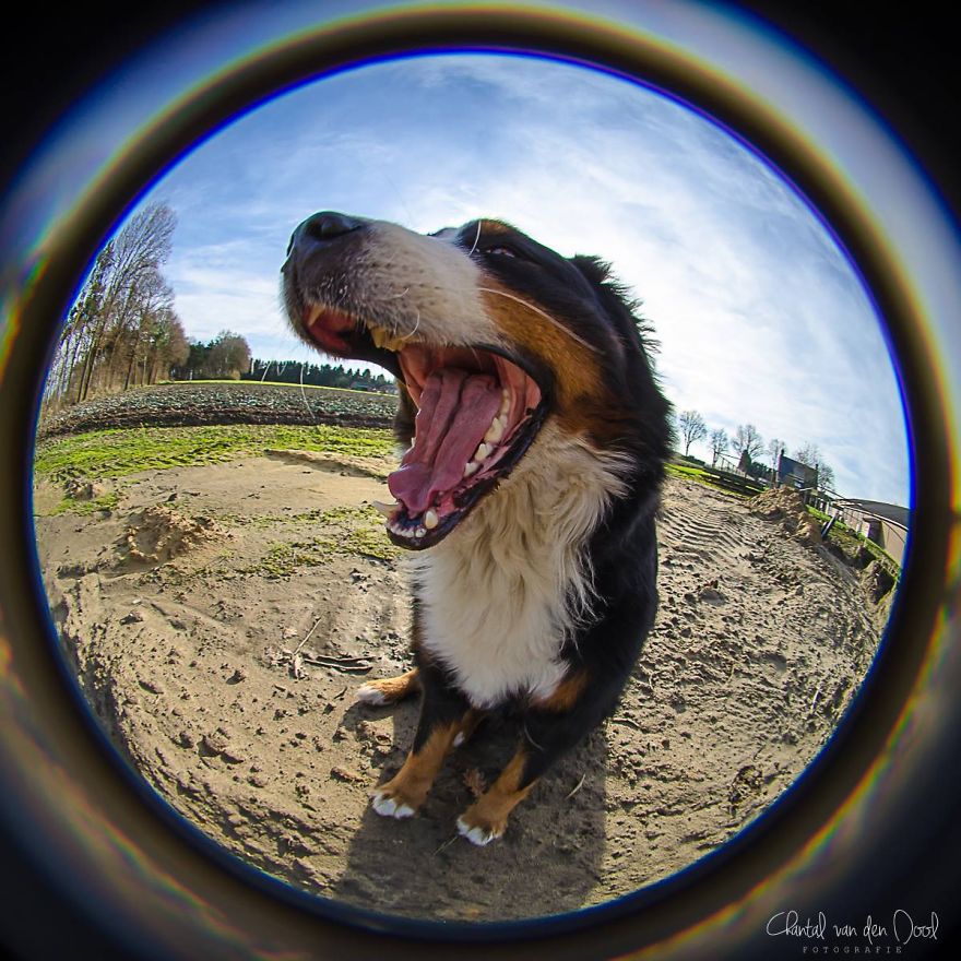 Fisheye Photography