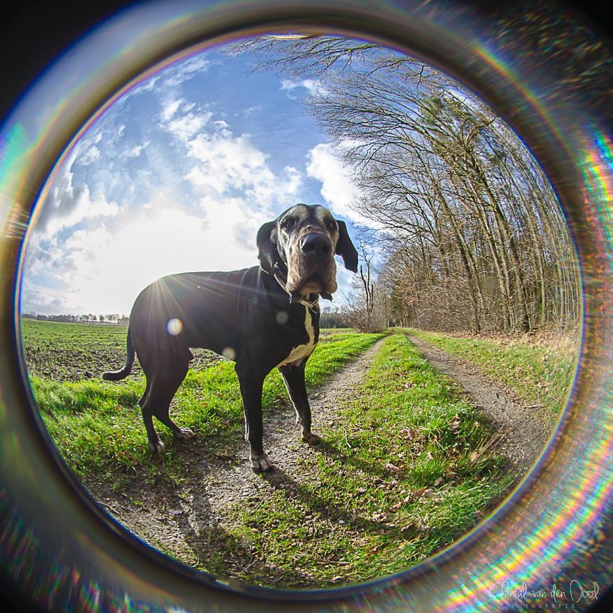 Fisheye Photography