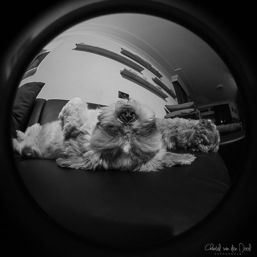 Fisheye Photography