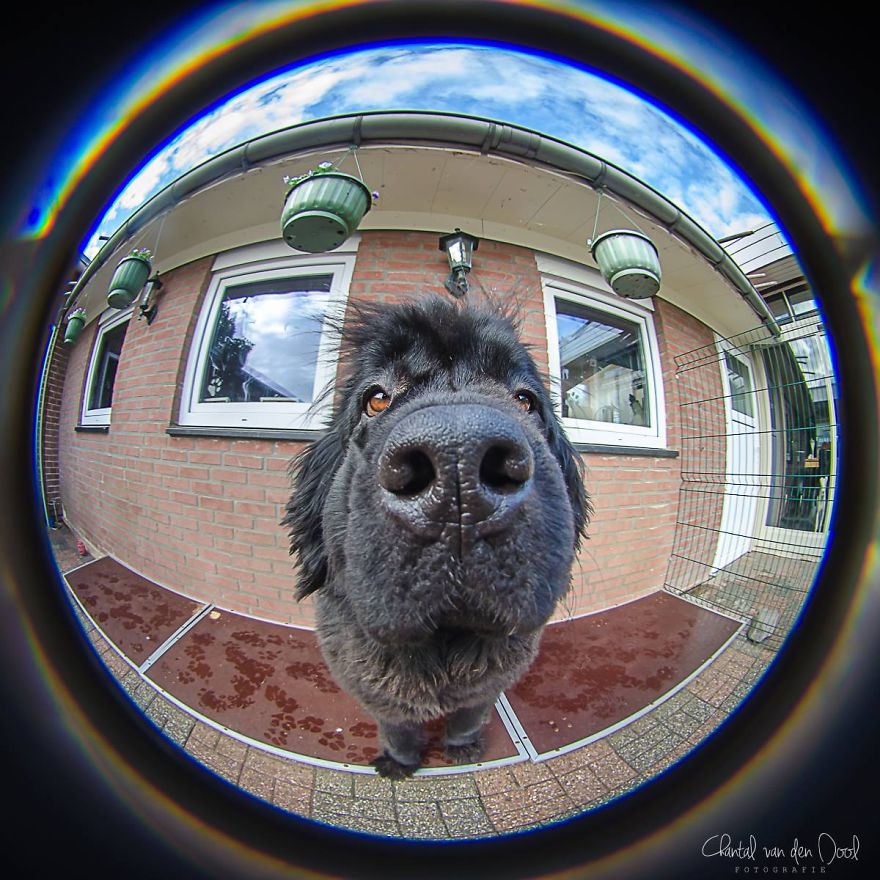 Fisheye Photography