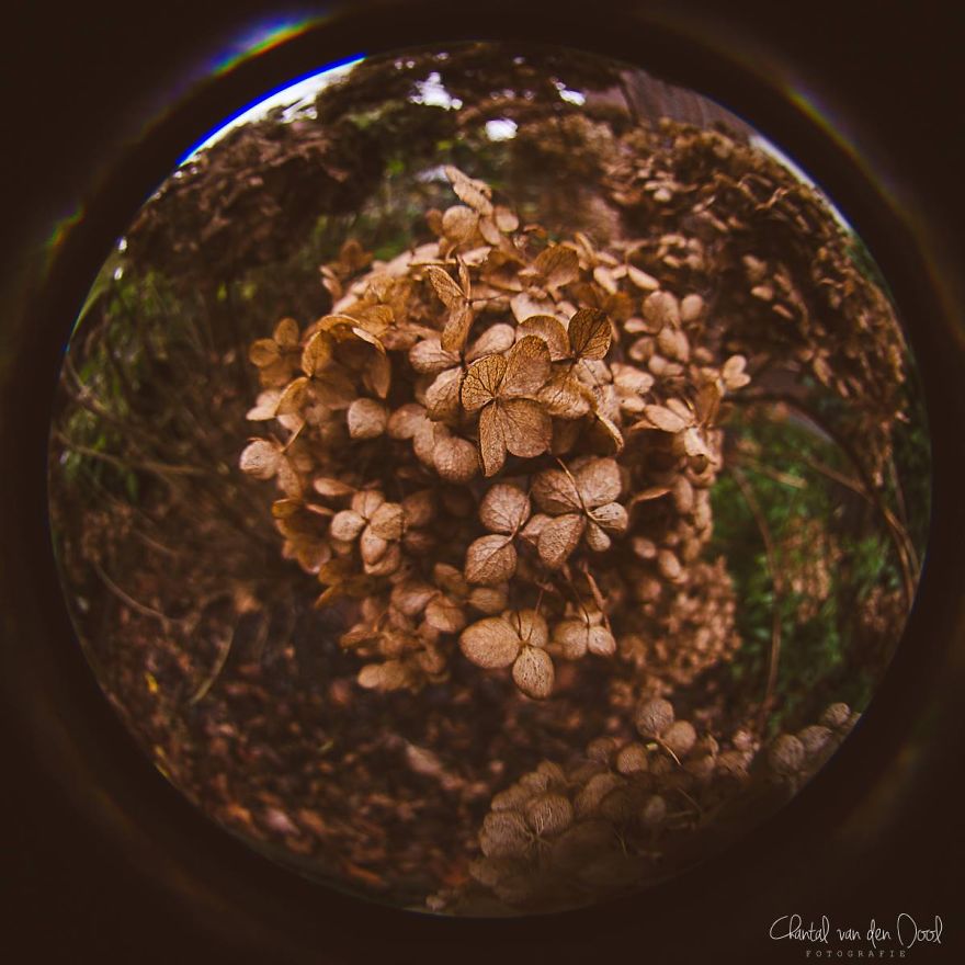 Fisheye Photography
