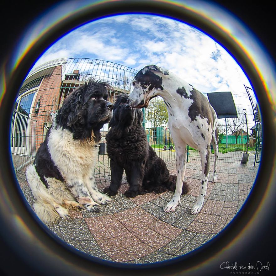 Fisheye Photography