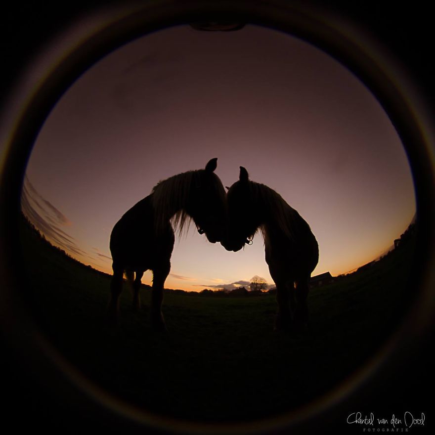 Fisheye Photography