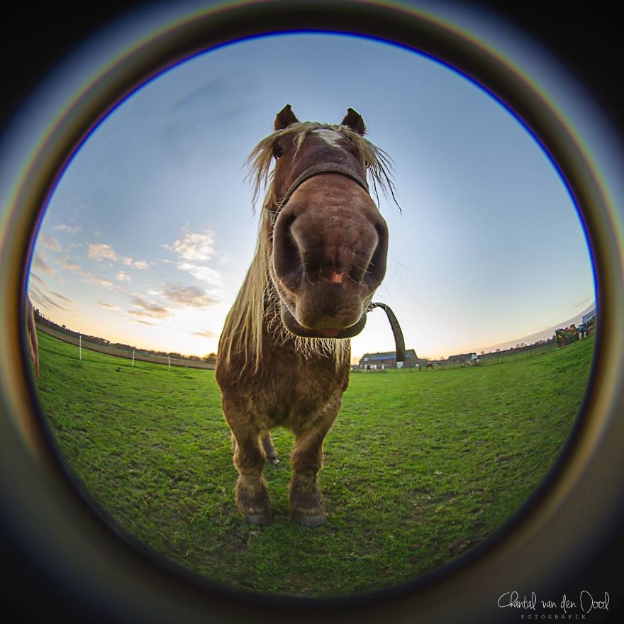 Fisheye Photography