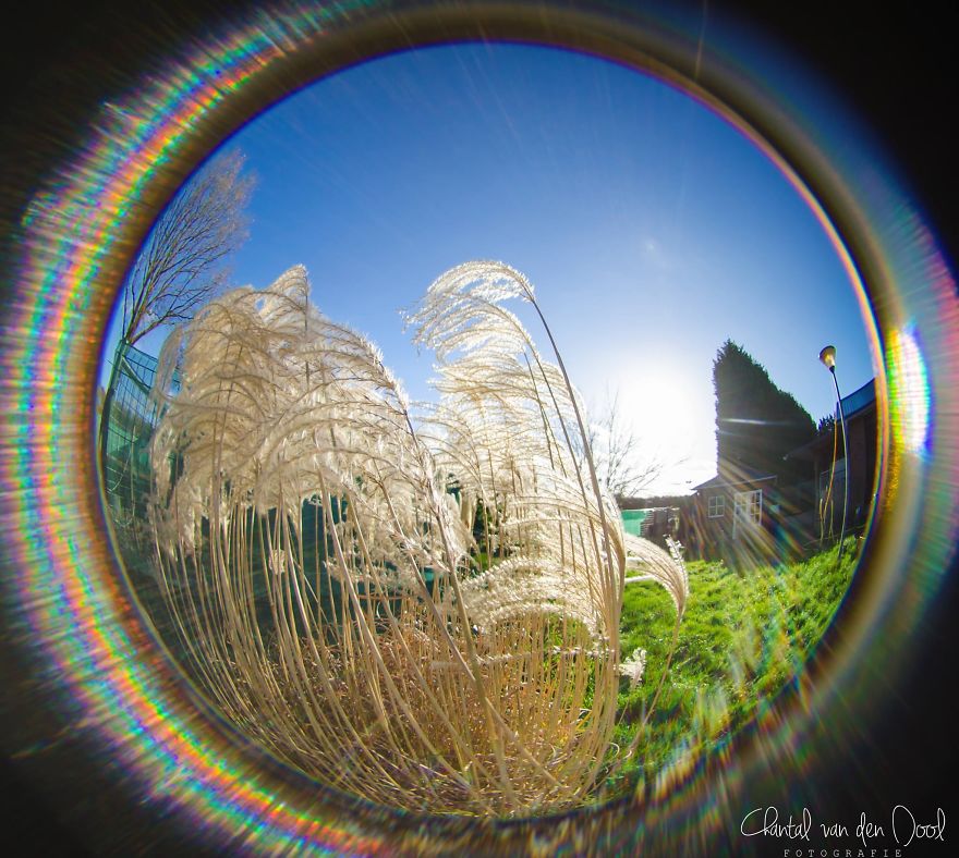 Fisheye Photography