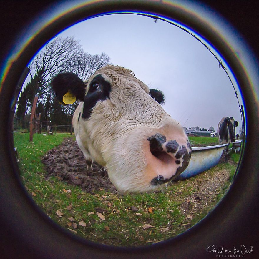 Fisheye Photography