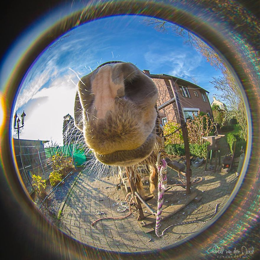 Fisheye Photography