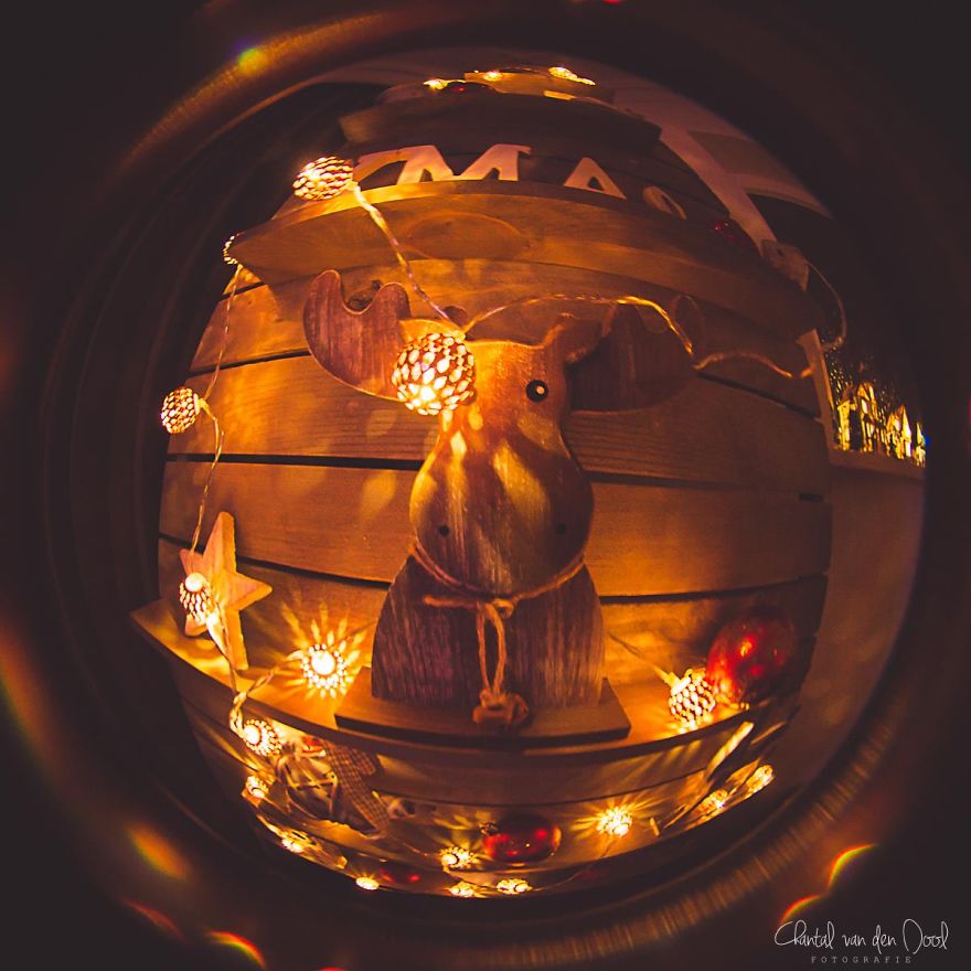 Fisheye Photography