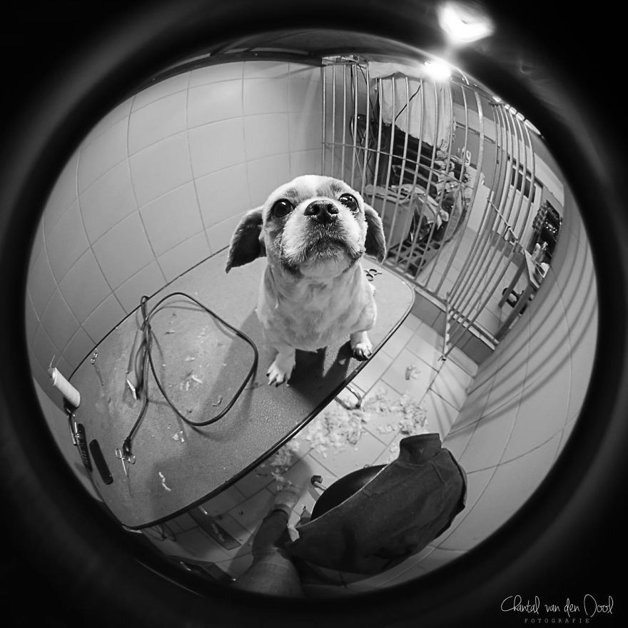Fisheye Photography