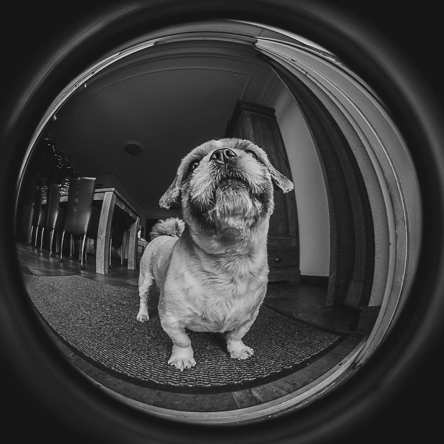 Fisheye Photography