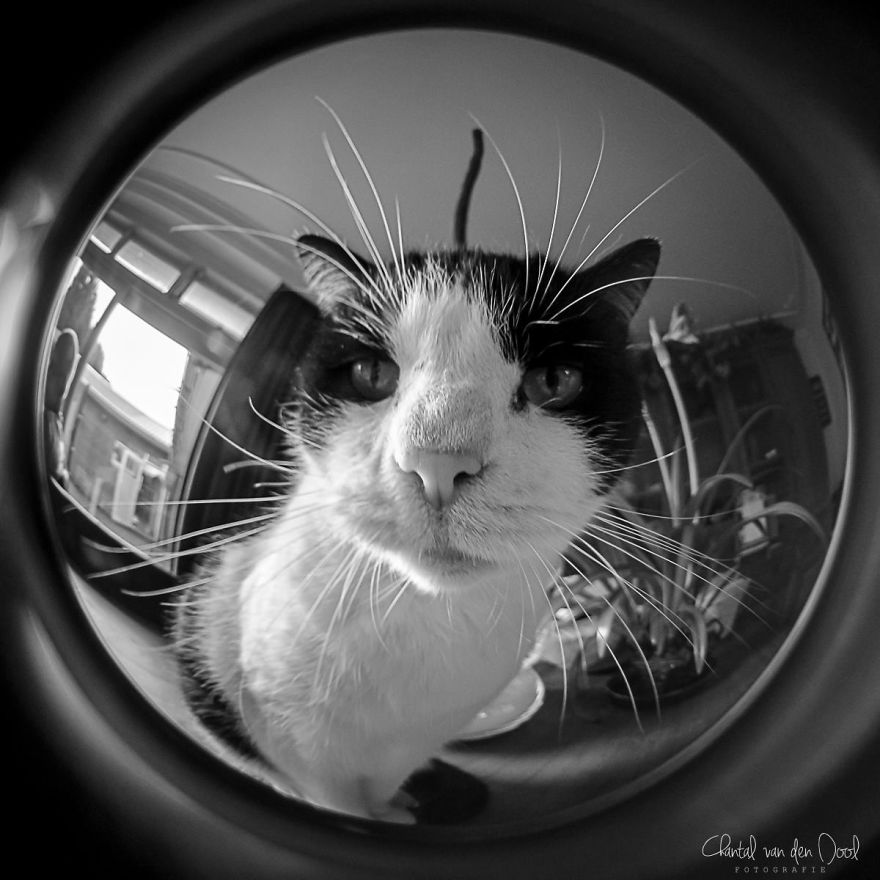 Fisheye Photography