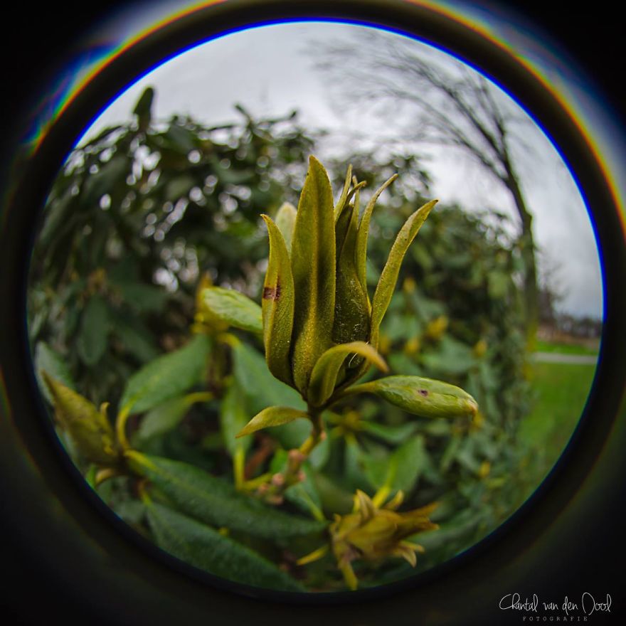 Fisheye Photography