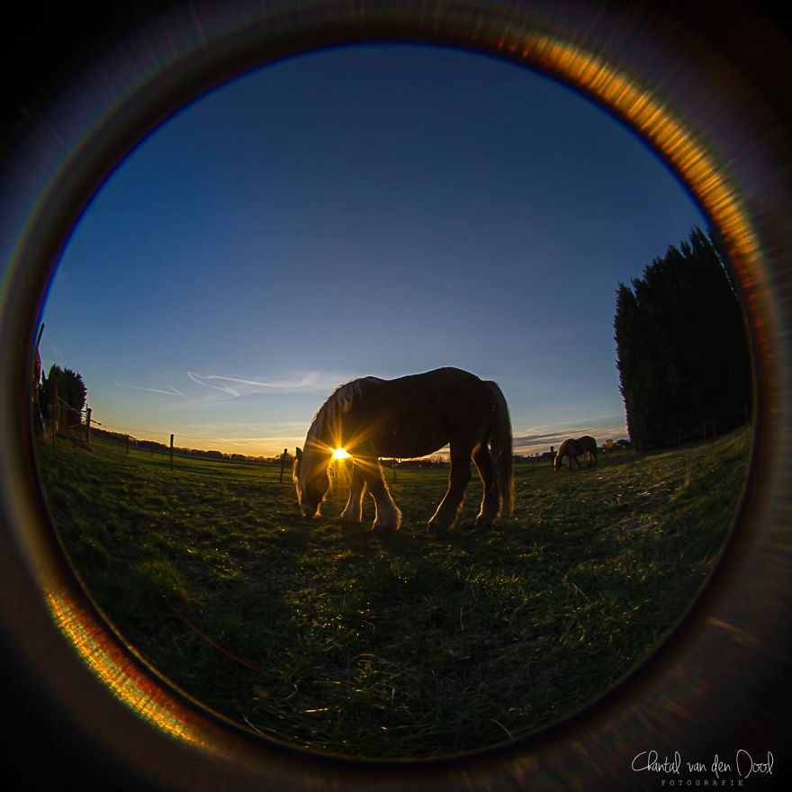 Fisheye Photography