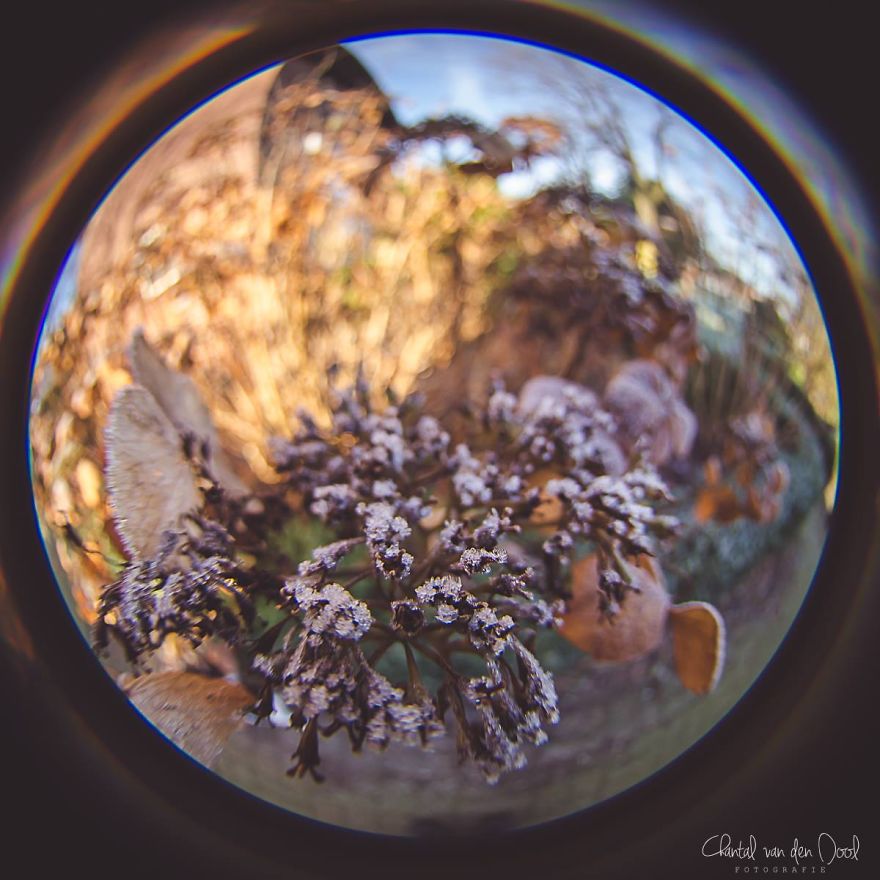 Fisheye Photography
