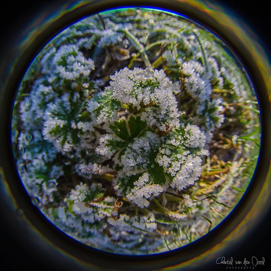 Fisheye Photography