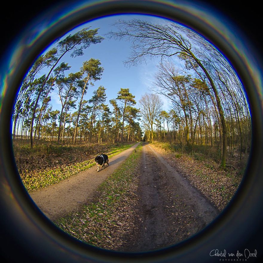 Fisheye Photography