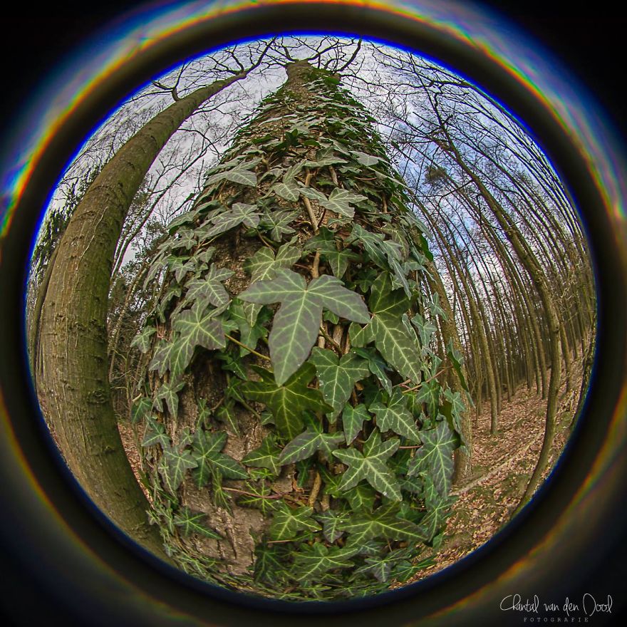 Fisheye Photography