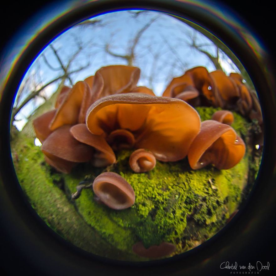 Fisheye Photography
