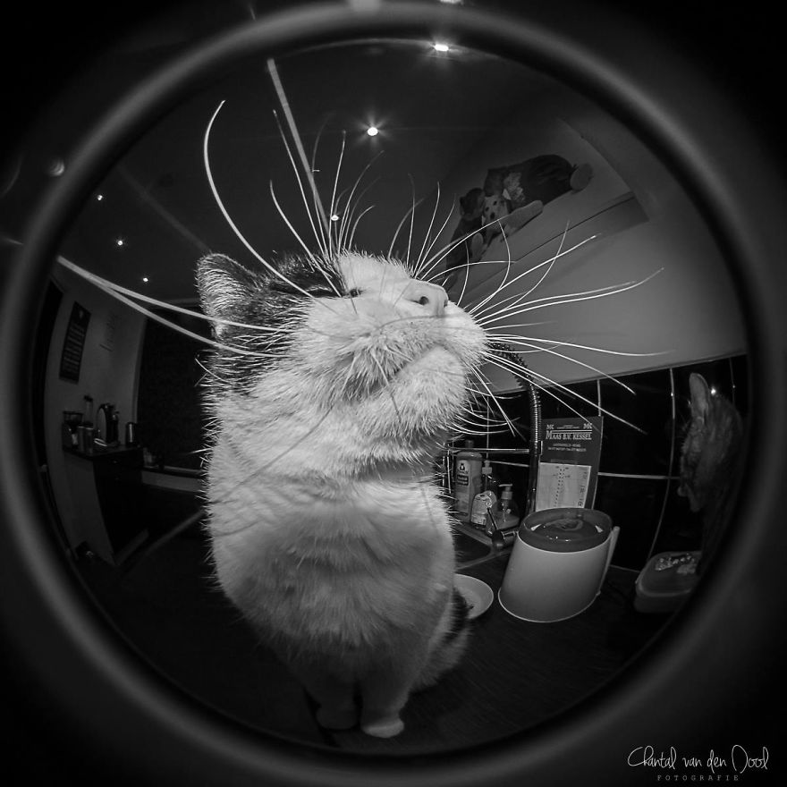 Fisheye Photography