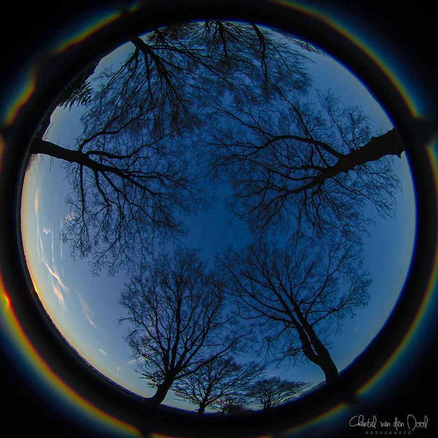 Fisheye Photography