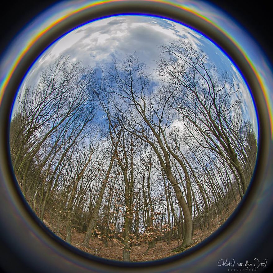 Fisheye Photography