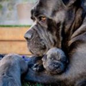 violetta_bennich avatar