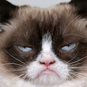 fatimaalzaabi avatar