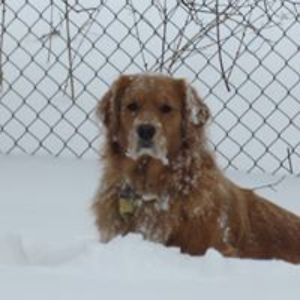 denisebennett2 avatar