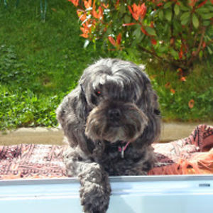 christianalmeras avatar