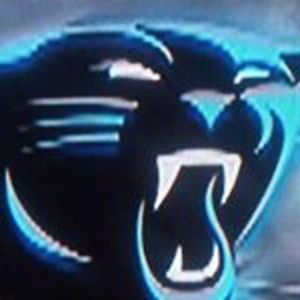 abacusbengals avatar