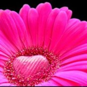 angela_griffiths avatar