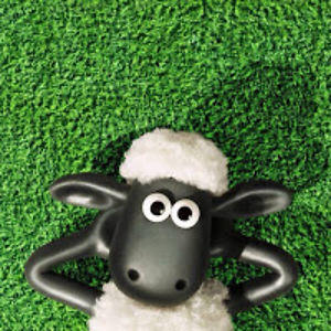 vonjymaminainarazafimandimby avatar