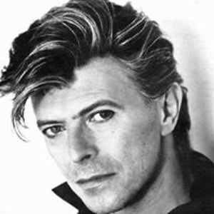 nina_gilman-hawkes avatar