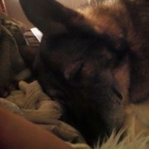 vickie_corner avatar