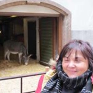 maria_luisa_pezzella avatar