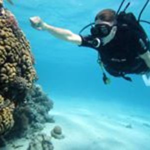 reinis_ozolkaja avatar