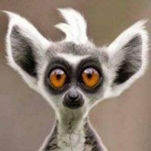 dawn_peterson-scherer avatar