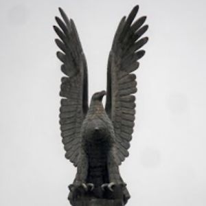 aslaniangracha avatar