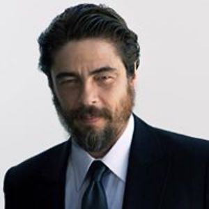 mano_kavtaradze avatar