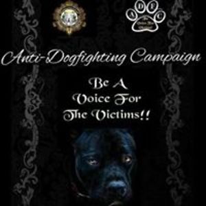 nanna_buenaventura avatar